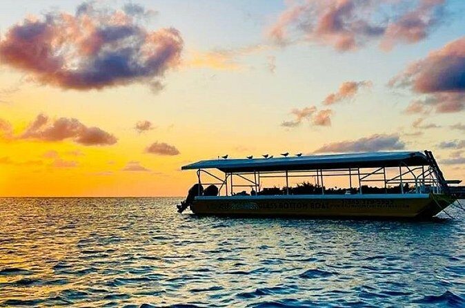 2 Stop Reef Snorkel and Glass Bottom Boat Adventure - Meet Luis and Brent, and why guided spotting is a big deal