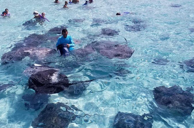 3 Stop Boat Tour Stingray City Coral Gardens and Starfish Point - Stingray City Sandbar: Shallow Water, Real Animal Encounters
