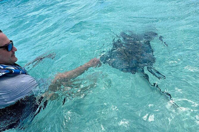 3HR Full Island Life Jetski Tour - Starfish Point: the secluded shoreline where shallow water makes spotting easy