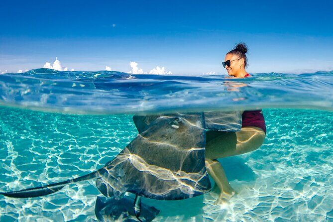 4 hour Private Boat charter to Stingray City, Snorkeling and More - Key highlights worth planning around