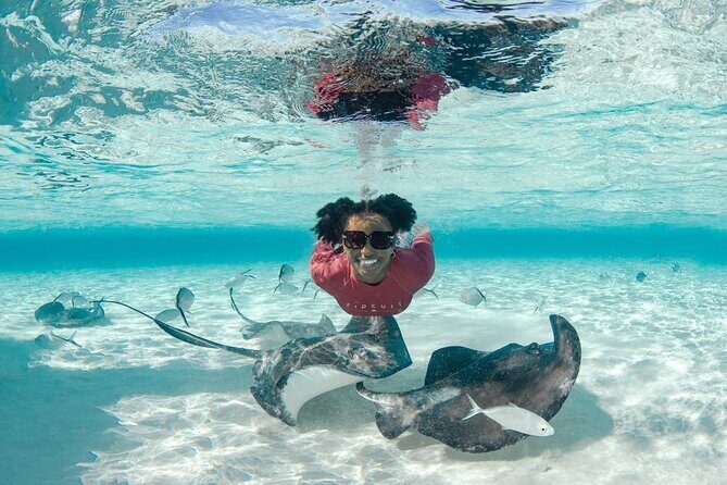 4 hour Private Boat charter to Stingray City, Snorkeling and More - Coral Gardens snorkeling at 8–10 feet: what you’ll likely see
