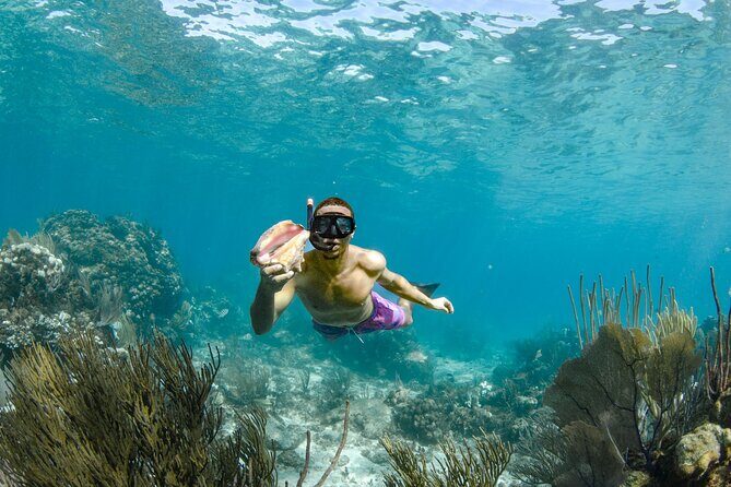 4 hour Private Boat charter to Stingray City, Snorkeling and More - Starfish Beach, plus mangroves and the Rum Point mudslide option