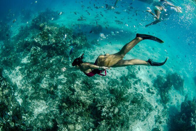 4 hour Private Boat charter to Stingray City, Snorkeling and More - Evening option: the bioluminescent bay glow