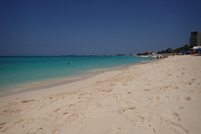 4-Stop Stingray, Snorkel, Star Fish & 7 Mile Beach (Family Owned) - Stop 1 at Stingray City: what happens when you jump in