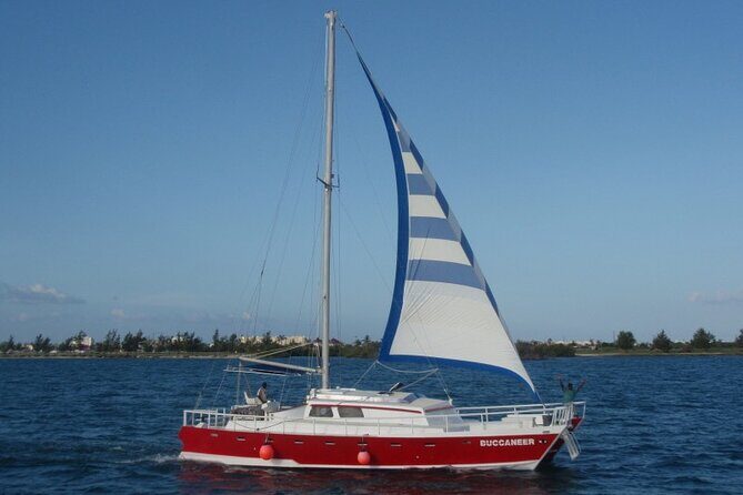 Acquarius Stingray City and Snorkel Tours - Starfish Point: short stop, strict handling rules, and photos on your schedule
