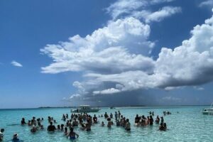 Avoid the crowd book your Private Stingraycity Charter today - Getting to Safehaven Marina and what happens on the boat