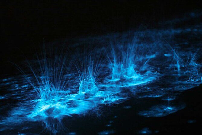 Bioluminescent Bay Adventure in Grand Cayman - Starfish Point: the sunset stop plus upside-down jellyfish briefing