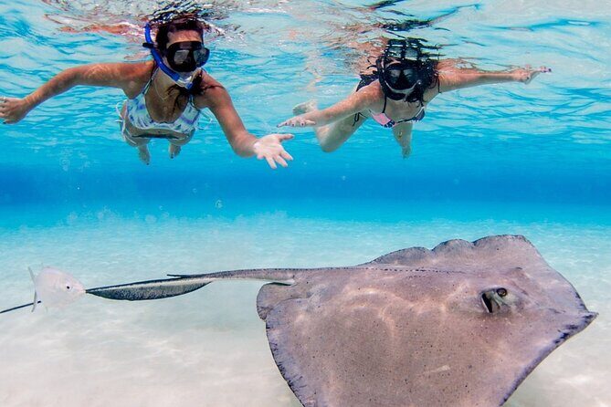 Cayman Adventure: Starfish Point, Stingray City and Coral Gardens - Catamaran ride + small group = easier, calmer water time