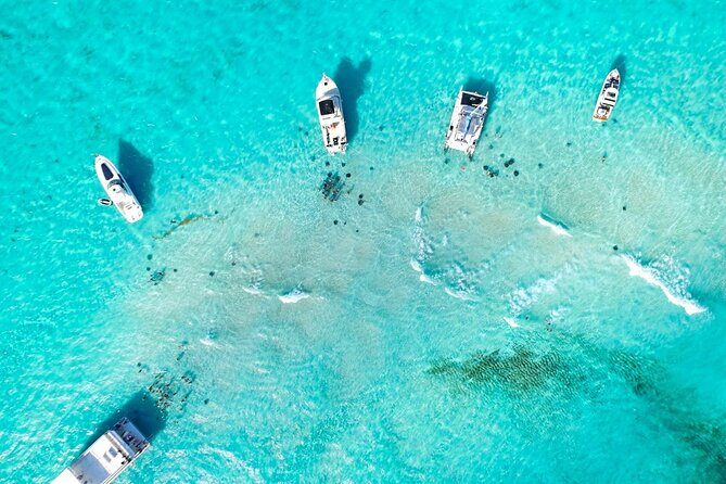 Cayman Adventure: Starfish Point, Stingray City and Coral Gardens - Coral Gardens snorkeling: about 40 minutes of reef watching