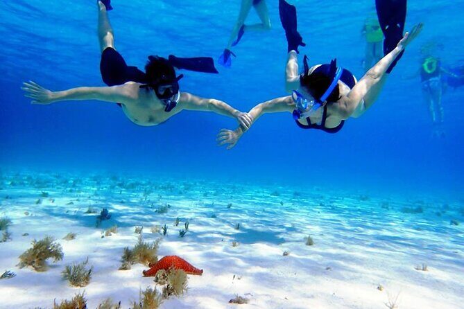 Cayman Adventure: Starfish Point, Stingray City and Coral Gardens - What you’re really paying for: included gear, park access, and transport