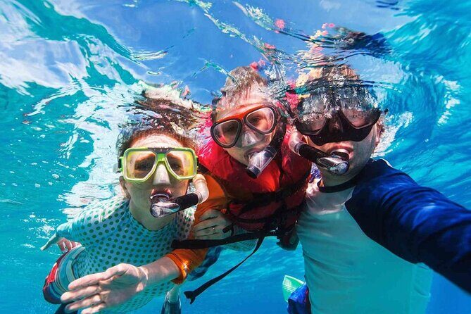 Cayman Adventure: Starfish Point, Stingray City and Coral Gardens - Stingray City sandbar: shallow water and real interaction