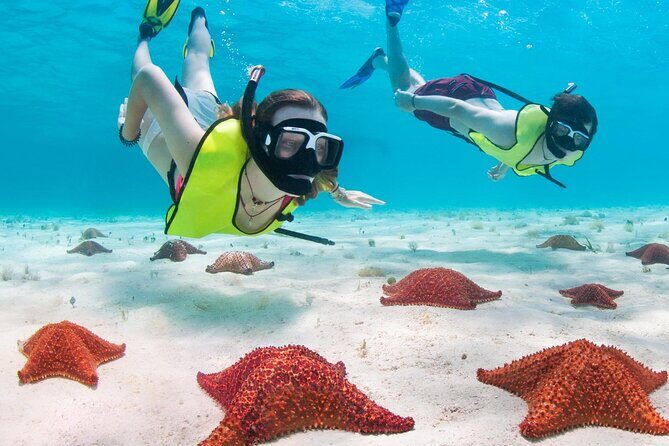 Cayman Combo Tour: Stingrays, Starfish Point and Crystal Caves - Getting picked up on Seven Mile Beach (and where the tour starts)