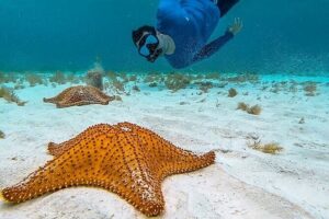 Cayman Combo Tour: Stingrays, Starfish Point and Crystal Caves - Stop 1: Stingray City snorkeling—how to get the most out of it