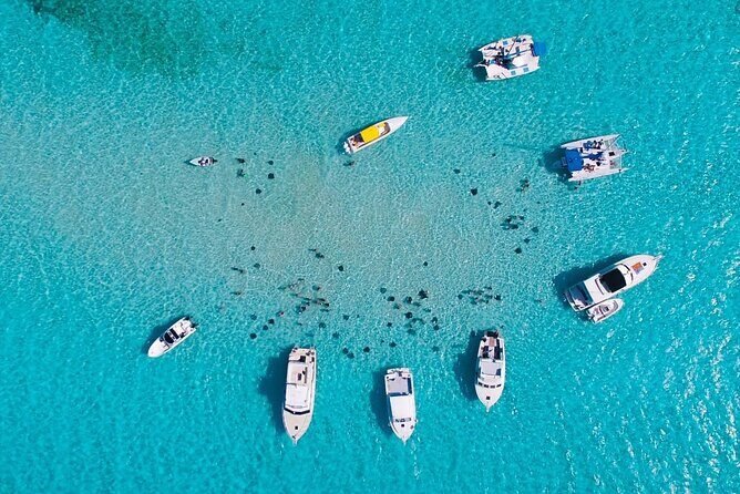 Cayman Combo Tour: Stingrays, Starfish Point and Crystal Caves - Stop 2: Starfish Point—great for photos, sometimes short on patience