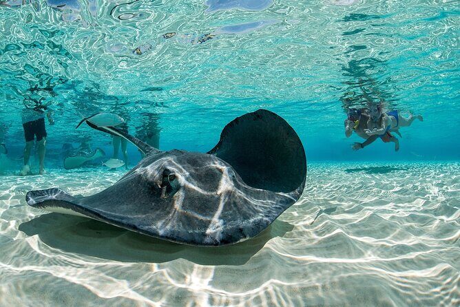 Cayman Combo Tour: Stingrays, Starfish Point and Crystal Caves - Stop 3: Crystal Caves—stalactites, stalagmites, and pirate lore