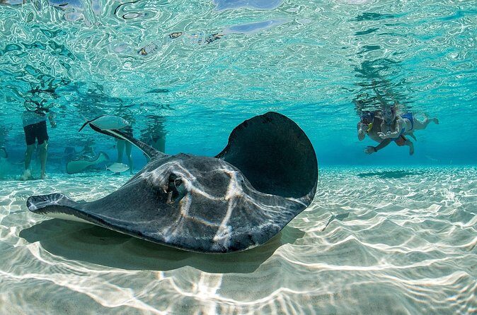 Cayman Combo Tour: Stingrays, Starfish Point and Crystal Caves - Value check: what you get for $109 and why it adds up