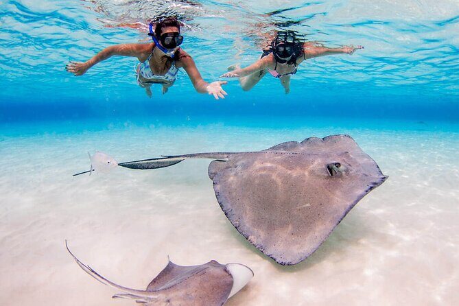 Cayman Combo Tour: Stingrays, Starfish Point and Crystal Caves - Timing and transfers: what can throw off the day