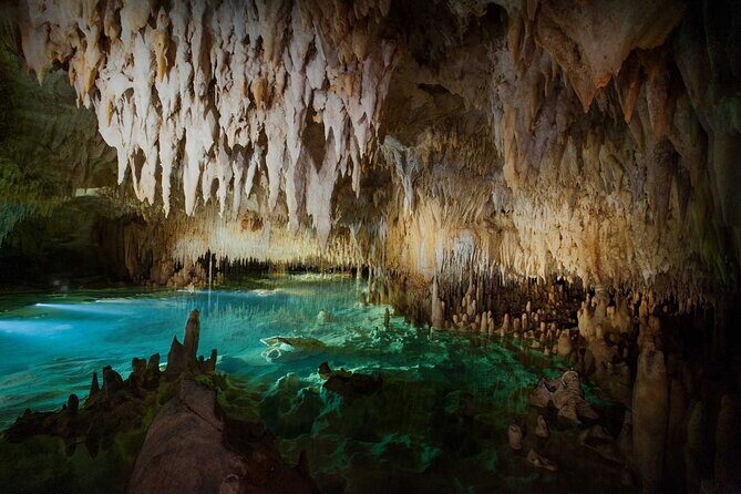 Cayman Combo Tour: Stingrays, Starfish Point and Crystal Caves - Should you book the Cayman Combo Tour?
