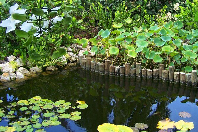 Cayman Crystal Caves & Pedro St James Castle or Botanical Garden - Comfort and supplies: water, leg room, and how to avoid a sour day