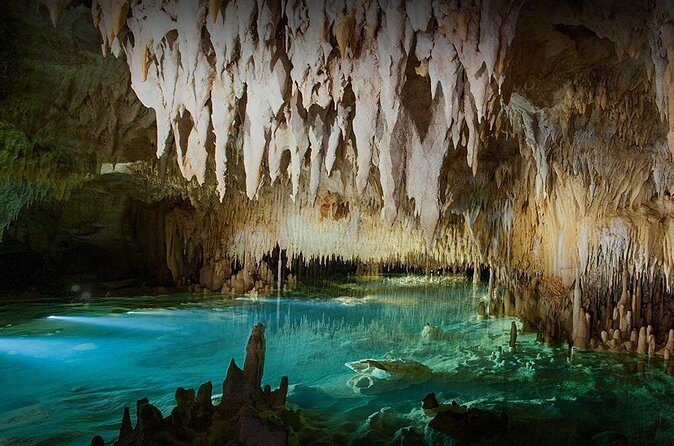 Cayman Crystal Caves Tour in Grand Cayman - The Tropical Forest Walk: Plants, Animals, and What to Wear