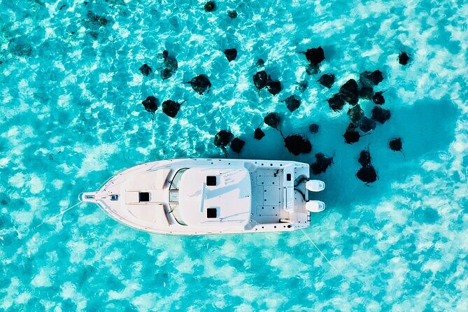 Cayman Private Luxury Charters - Stingray City, Snorkel, & More - Stop 1: Stingray City Sandbar, Waist-Deep and Gentle