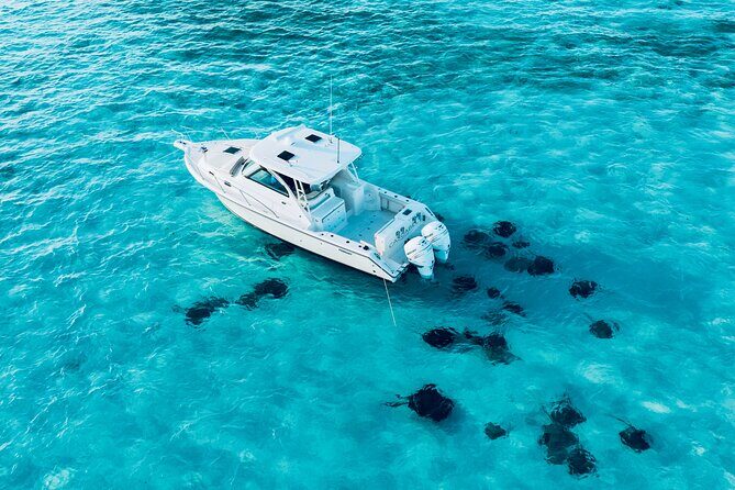 Cayman Private Luxury Charters - Stingray City, Snorkel, & More - Lunch and Beach Club Options (Kaibo or Rum Point) and Time Constraints