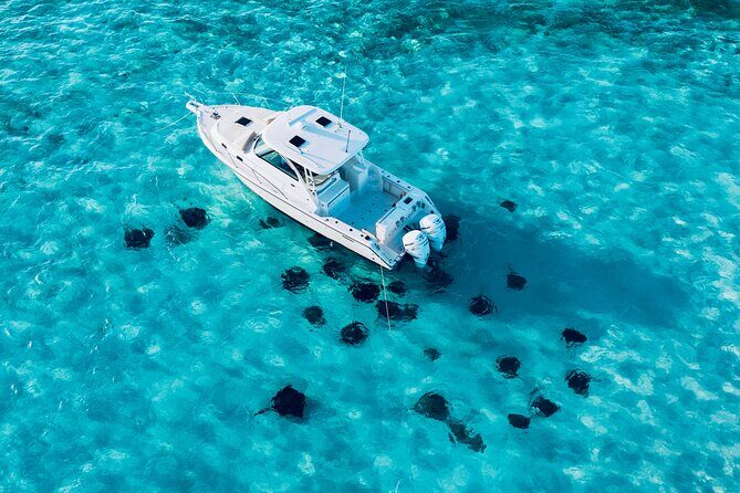 Cayman Private Luxury Charters - Stingray City, Snorkel, & More - Private Boat Day vs. Cruise Excursions: The Real Difference