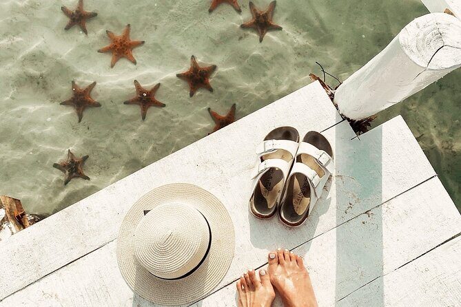 Cayman Ultimate Tour: Stingrays, Starfish Point and Crystal Caves - Stingray City: what you’re really doing in the water