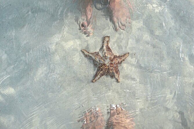 Cayman Ultimate Tour: Stingrays, Starfish Point and Crystal Caves - Cayman Crystal Caves: stalactites, cave water, and pirate vibes