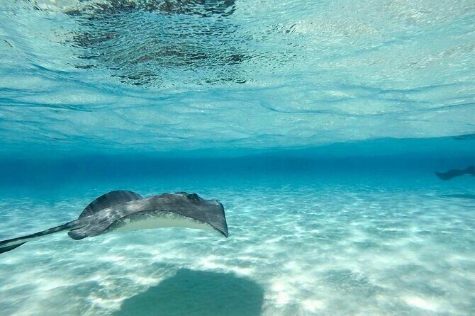 Cayman Ultimate Tour: Stingrays, Starfish Point and Crystal Caves - Snorkeling gear and guide support: comfort first, then fun