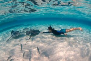 CaymanVisitor Hide & Seek GeoTour Self-Drive Tour - Start at 257 Roberts Dr: Your First Move Sets the Tone