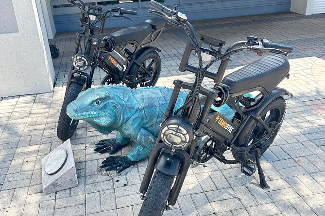 Coastal E-Bike Adventure: Full-Day Self-Guided Tour Grand Cayman - Key Highlights You Can Plan Around
