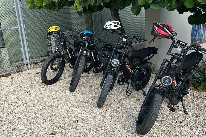 Coastal E-Bike Adventure: Full-Day Self-Guided Tour Grand Cayman - Camana Bay to Tortuga Rum Cakes: The Waterfront Wind-Down
