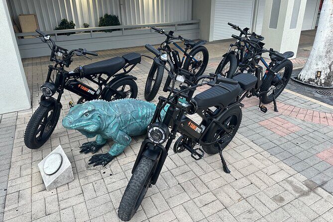 Coastal E-Bike Adventure: Full-Day Self-Guided Tour Grand Cayman - Price and Value: What $30 Buys You (And Who Will Like This Most)