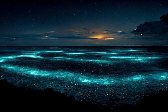 Grand Cayman Bioluminescence Adventure - Cayman Kai Bio Bay: what your glow swim is actually like