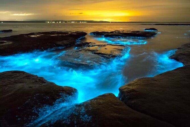 Grand Cayman Bioluminescent Bay Adventure - Key things that make this tour special