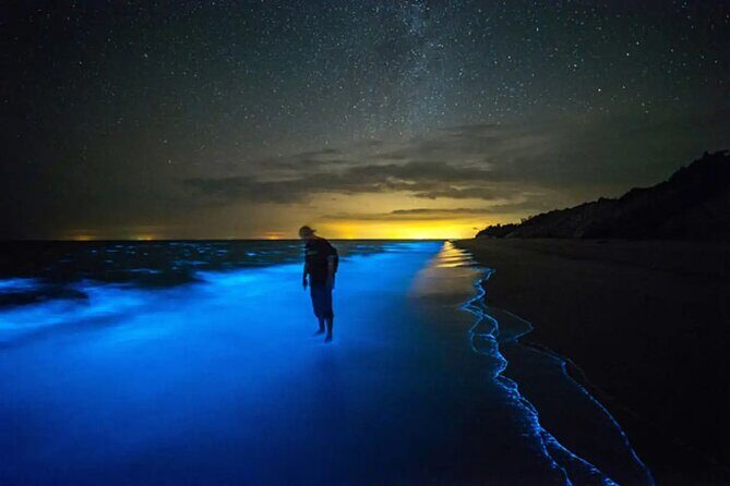 Grand Cayman Bioluminescent Bay Adventure - Bio Bay: what you’ll actually see from the boat and while swimming