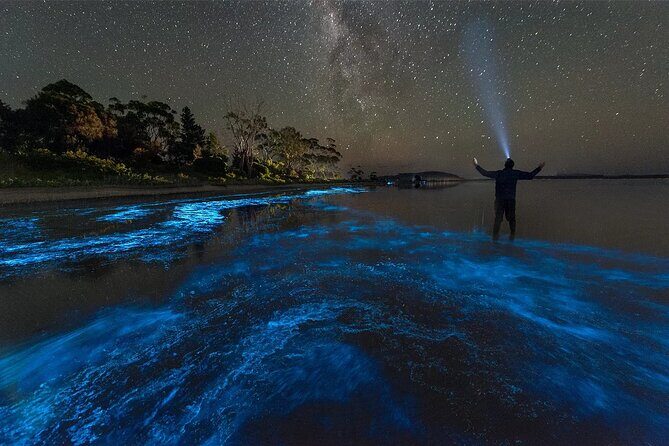 Grand Cayman Bioluminescent Bay Adventure - Snorkel gear, life vest, and what’s included in the $149
