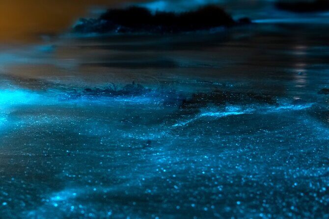 Grand Cayman Bioluminescent Bay Adventure - Getting picked up (and why Seven Mile Beach matters)