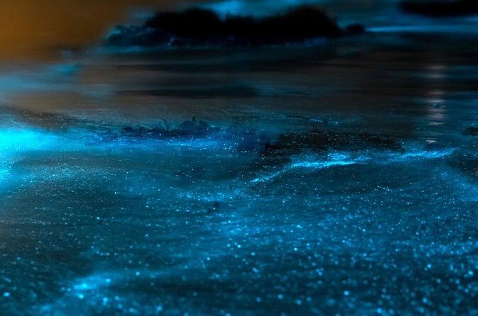 Grand Cayman Bioluminescent Bay Adventure - Group size and the vibe: why the crew makes a big difference