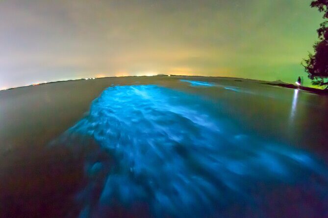 Grand Cayman Bioluminescent Bay Adventure - How to maximize your chances of seeing real glow (not just “maybe” glow)