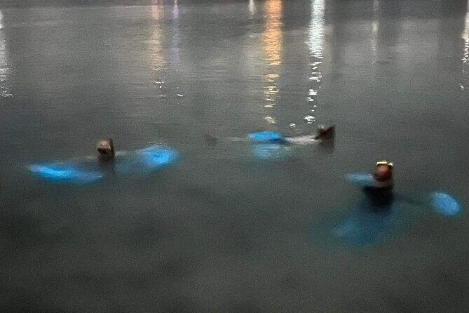 Grand Cayman - Bioluminescent Bay Tour - Snorkel gear, life vests, and jellyfish protection