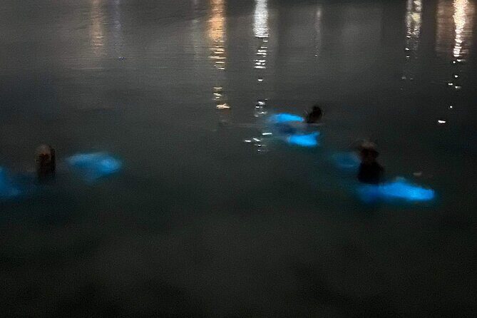 Grand Cayman - Bioluminescent Bay Tour - Guide energy and the names you might hear onboard