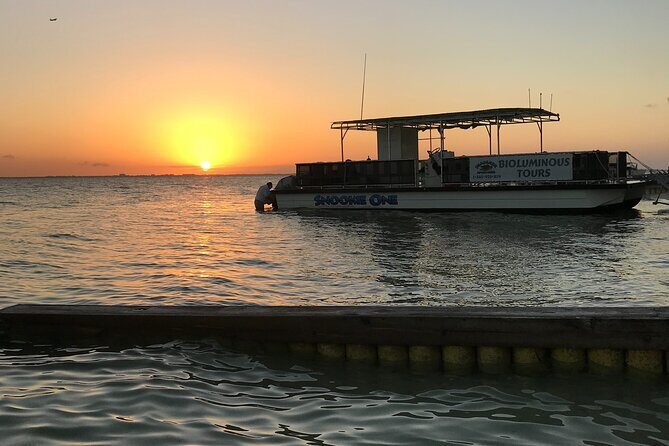 Grand Cayman - Bioluminescent Bay Tour - Timing, moonlight, and the weather reality check