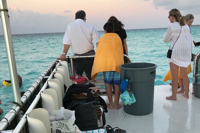 Grand Cayman - Bioluminescent Bay Tour - Who should book this Grand Cayman bioluminescent bay tour