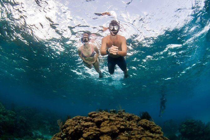 Grand Cayman Kittiwake and Reef Sail - The coral reef stop: living coral, fish, and learning in plain language