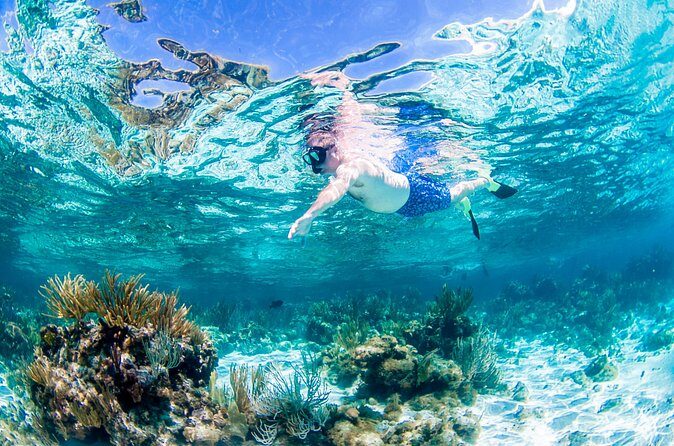 Grand Cayman Kittiwake and Reef Sail - Onboard cash bar and why the catamaran setup matters