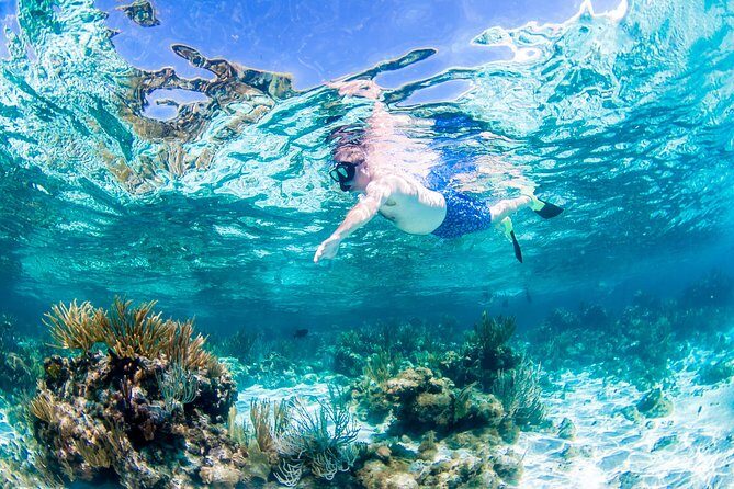 Grand Cayman Kittiwake and Reef Sail - Price and value: is $123.50 a good deal?