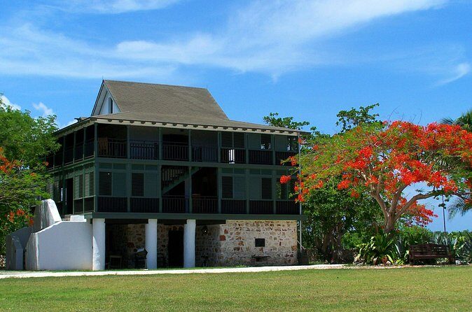 Grand Cayman Private Customized Bus Tour - Building your itinerary on the spot: how customization actually plays out