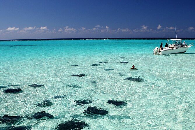 Grand Cayman Stingray City and Reef Snorkeling Combo Tour - Key highlights you’ll feel right away